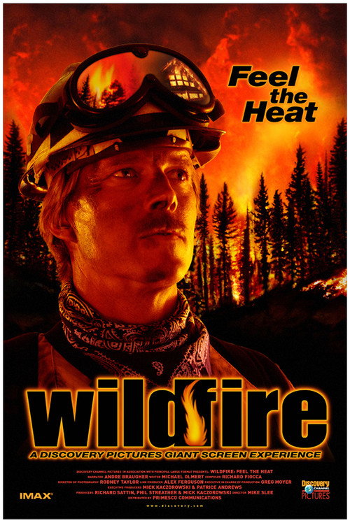 Movie poster for Wildfire: Feel the Heat (1999)
