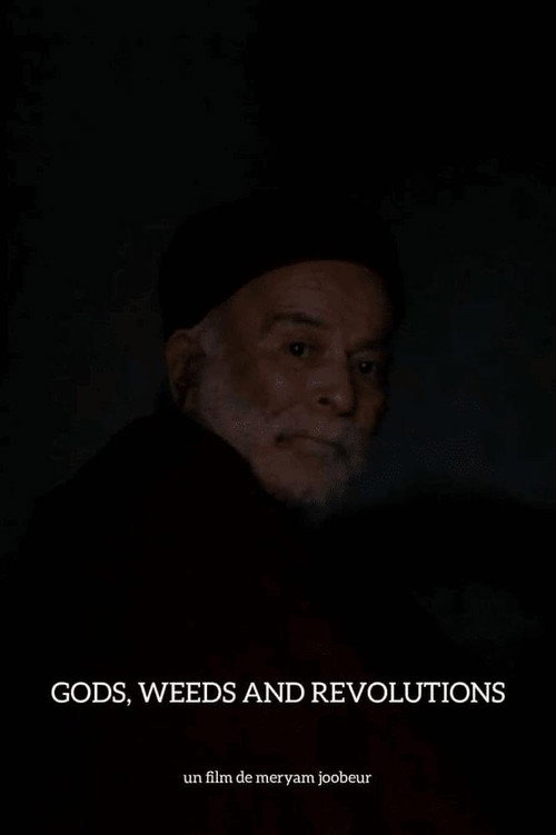 Movie poster for Gods, Weeds and Revolutions (2012)