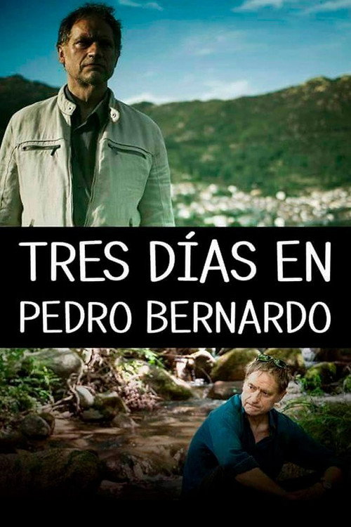 Movie poster for Tres días en Pedro Bernardo (2015)