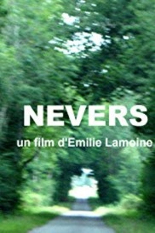 Movie poster for Nevers (2013)