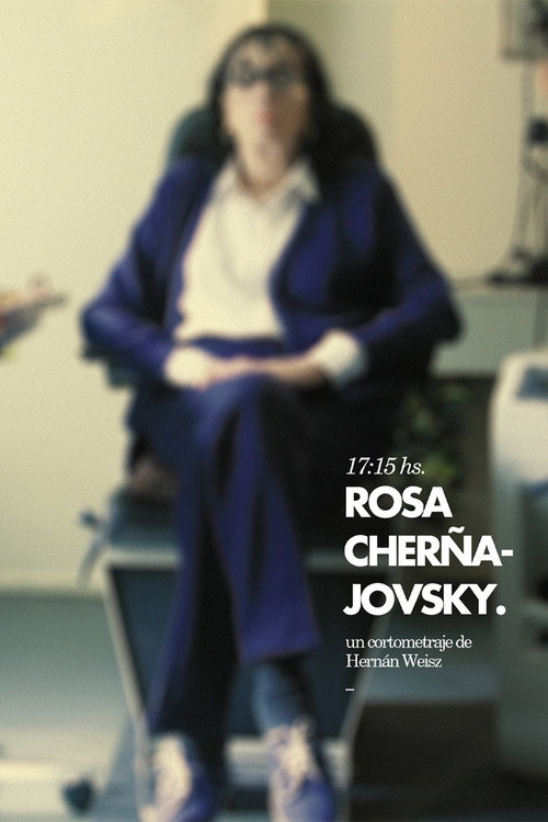 Movie poster for 17:15 hs. Rosa Cherñajovsky (2012)