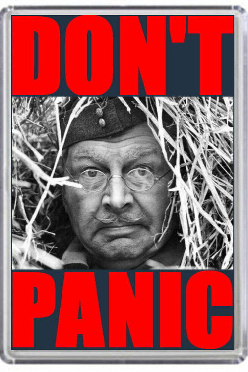 Movie poster for Don't Panic: The Dad's Army Story (2000)