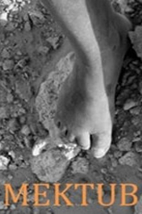 Movie poster for Mektub (2010)