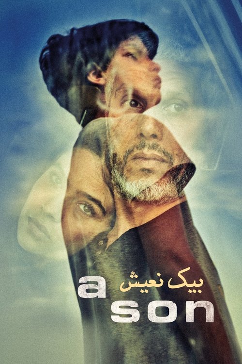 Movie poster for A Son (2020)