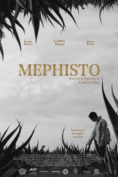 Movie poster for Mephisto (2022)