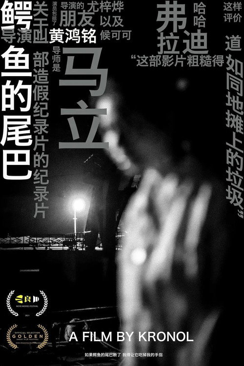 Movie poster for THE CROCODILE WITHOUT A TAIL (2022)