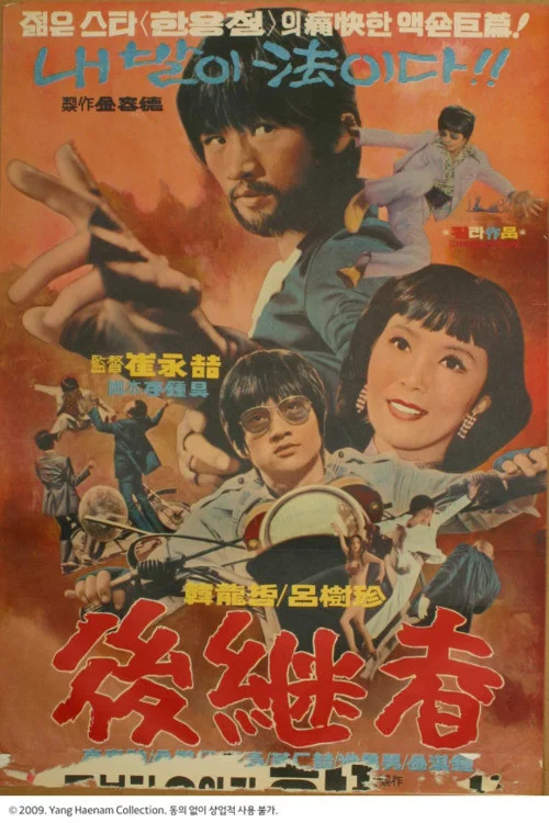 Movie poster for The Successor (1974)