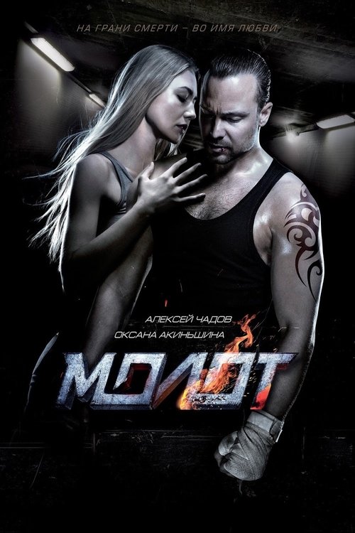 Movie poster for Hammer (2016)