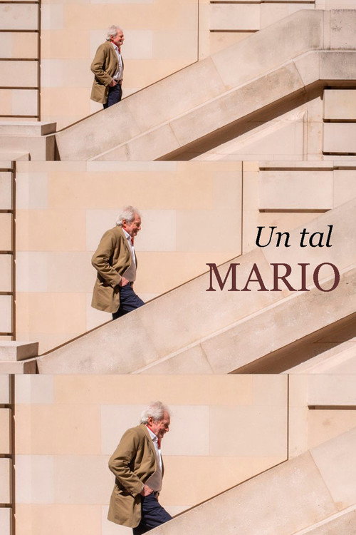 Movie poster for Un tal Mario (2024)