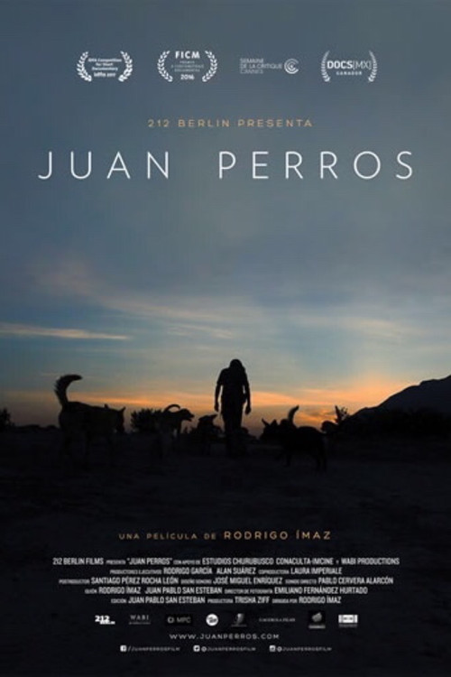 Movie poster for Juan Perros