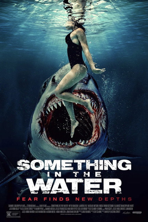 Movie poster for Something (2024)