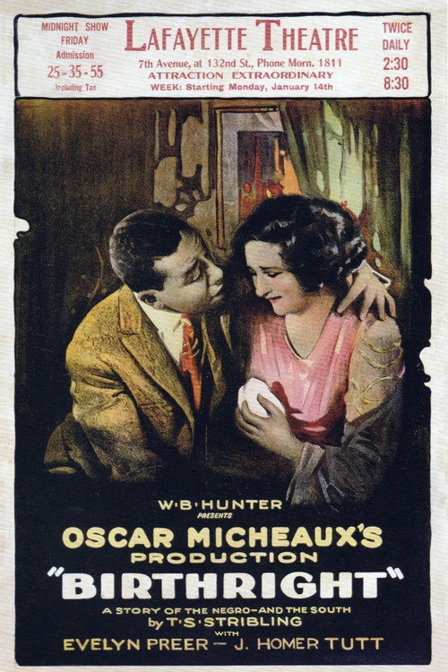 Movie poster for Birthright (1924)