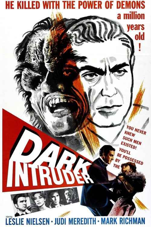 Dark Intruder poster