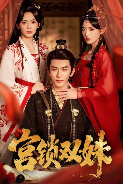 宫锁双姝 poster