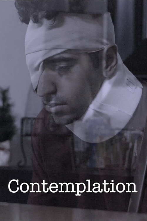 Movie poster for Contemplation (2025)