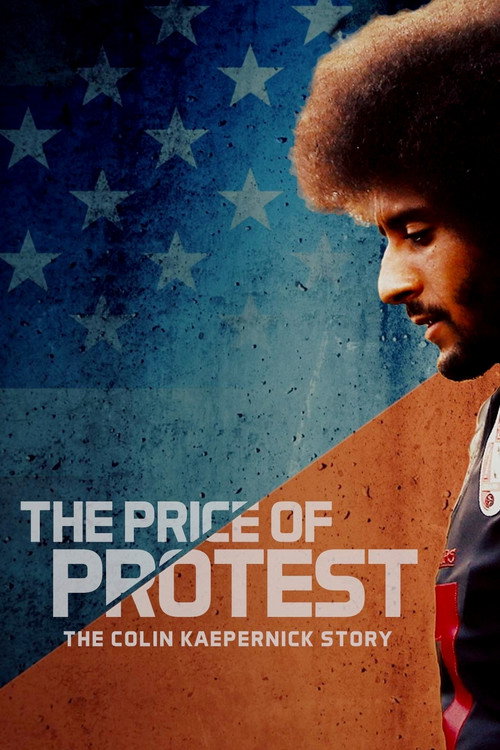 Movie poster for The Price of Protest (2019)