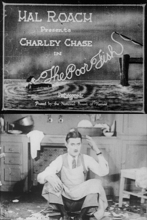 Movie poster for The Poor Fish (1924)