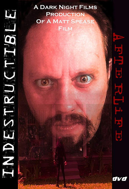 Movie poster for Indestructible: Afterlife (2008)