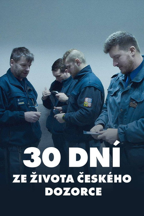 Movie poster for 30 dní ze života českého dozorce (2019)