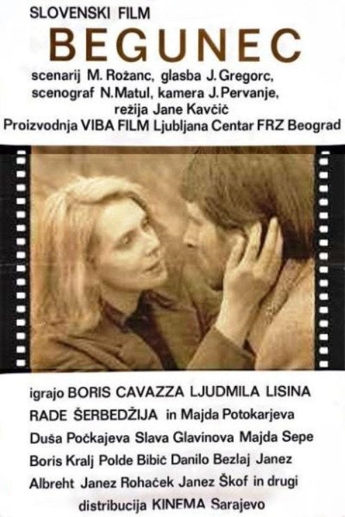 Movie poster for The Fugitive (1973)