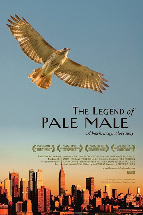 Movie poster for The Legend of Pale Male (2011)