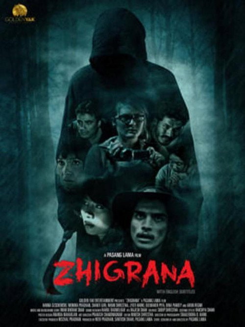 Movie poster for Zhigrana (2016)