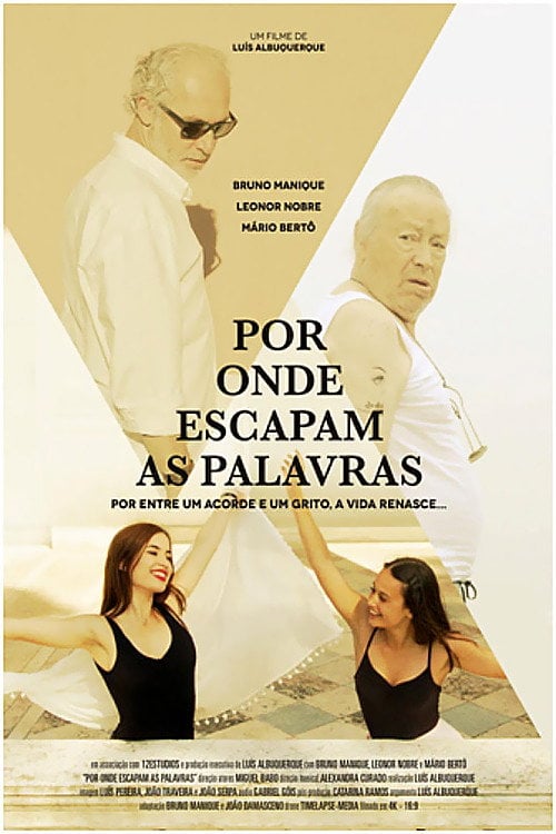 Movie poster for Por Onde Escapam as Palavras (2017)