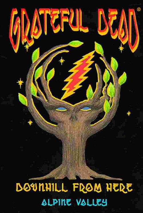 Movie poster for Grateful Dead: Downhill from Here (1989)