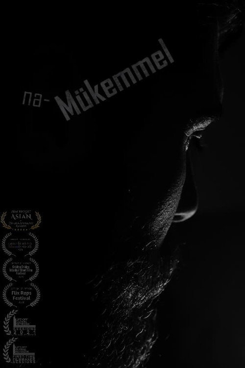 Movie poster for Imperfect (2020)