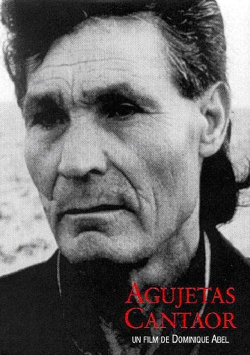Movie poster for Agujetas Cantaor (1999)