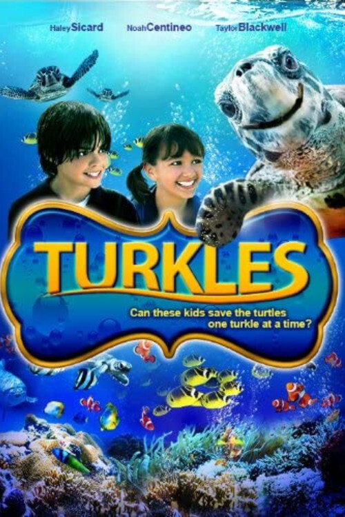 Movie poster for Turkles (2011)