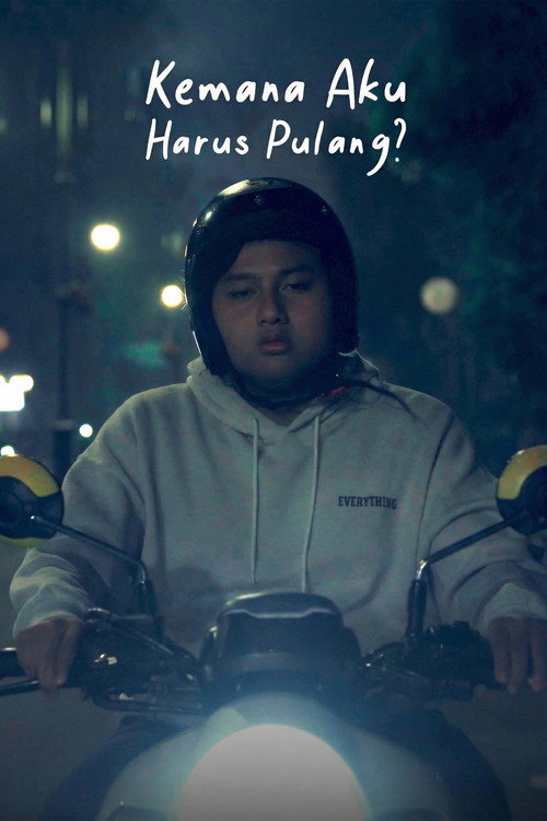 Movie poster for Where Should I Go Home? (2025)