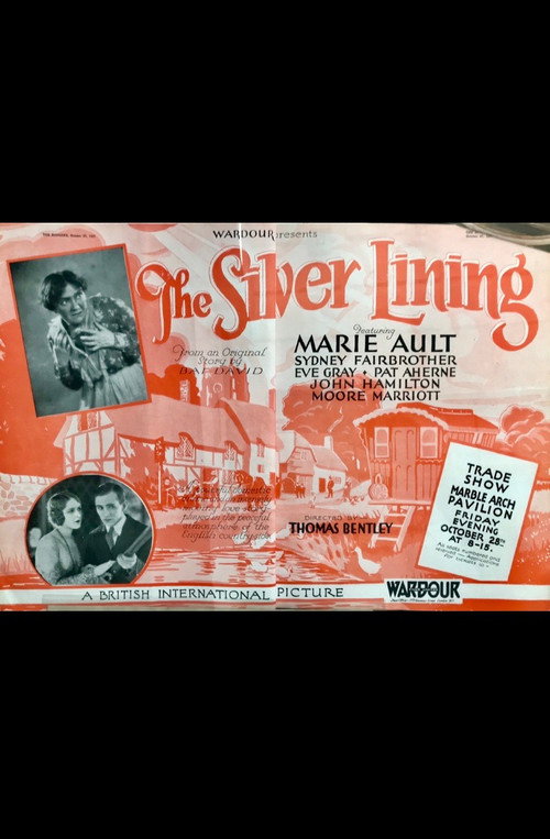 Movie poster for The Silver Lining (1928)