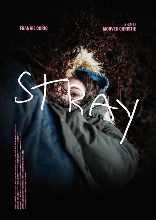 Movie poster for Stray (2025)