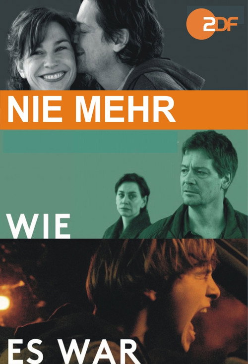 Movie poster for Nie mehr wie es war (2016)