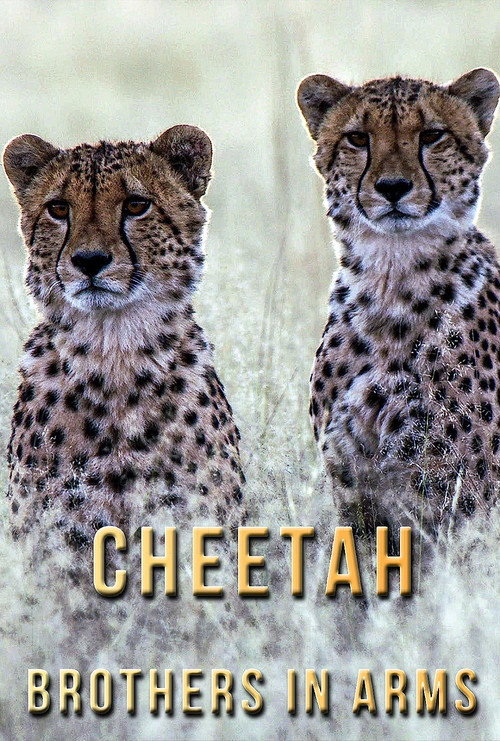 Movie poster for Cheetah Brothers in Arms (2020)