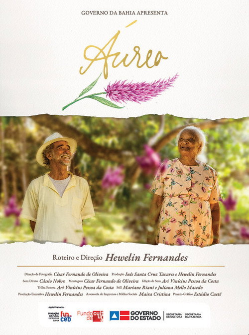 Movie poster for Áurea (2021)