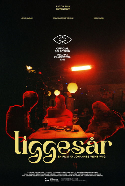 Movie poster for Liggesår