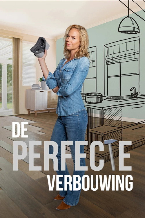 Series poster for De Perfecte Verbouwing (2021)