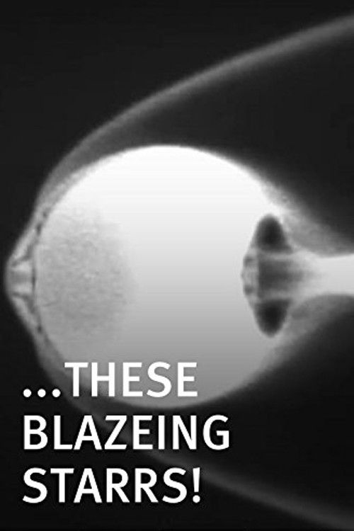 Movie poster for These Blazeing Starrs! (2011)