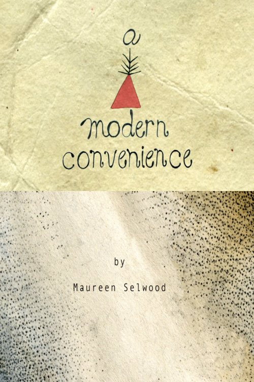 Movie poster for A Modern Convenience (2012)