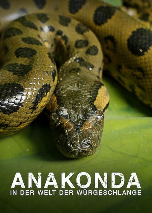 Movie poster for Anaconda: Silent Killer (2014)