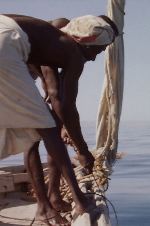 Movie poster for Hauling Sharks (1988)