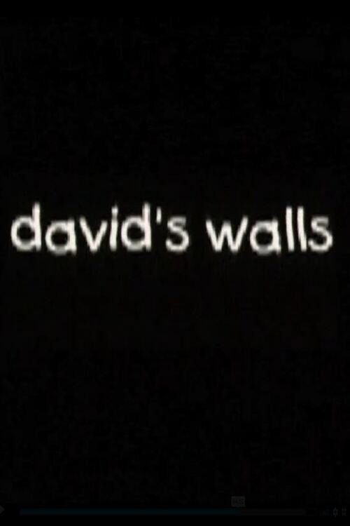 Movie poster for David's Walls (2001)