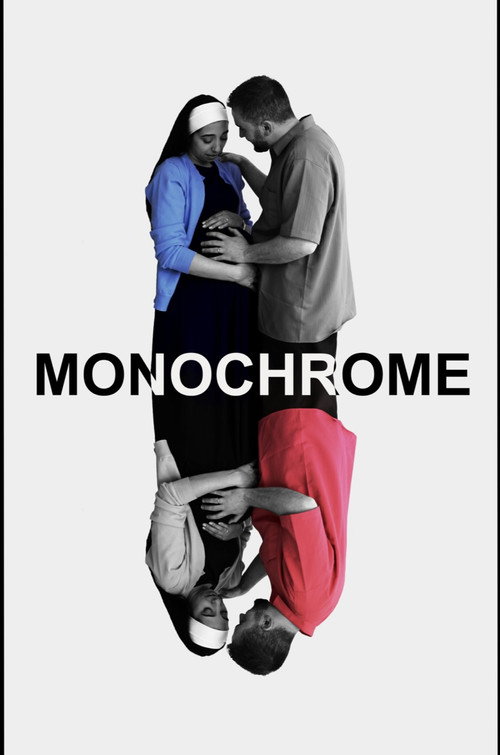 Movie poster for Monochrome (2025)