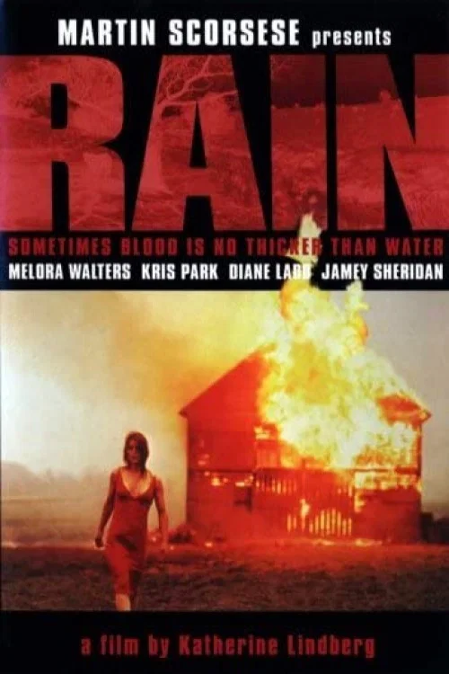 Movie poster for Rain (2001)