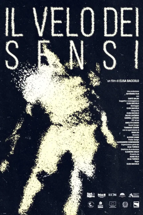 Movie poster for The Veil of Senses (2026)