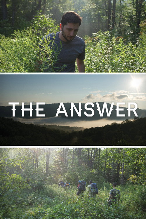 Movie poster for The Answer (2015)