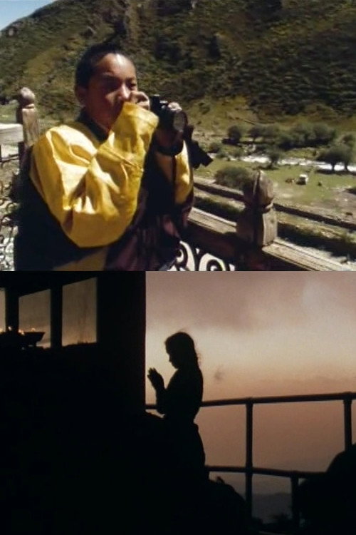 Movie poster for Karmapa - Two Ways of Divinity (1998)