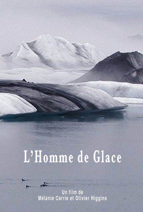 Movie poster for L'Homme de glace (2011)